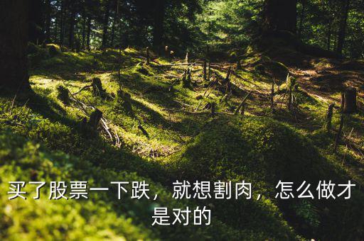 買了股票一下跌，就想割肉，怎么做才是對(duì)的