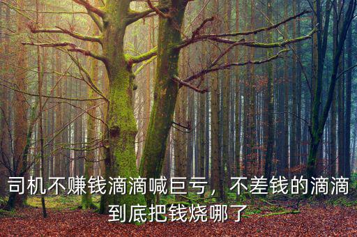 司機不賺錢滴滴喊巨虧，不差錢的滴滴到底把錢燒哪了