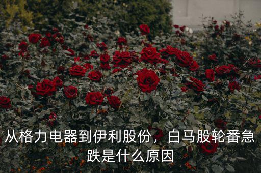 從格力電器到伊利股份，白馬股輪番急跌是什么原因
