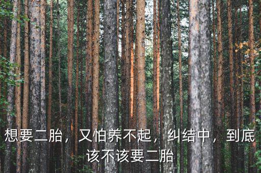 想要二胎，又怕養(yǎng)不起，糾結(jié)中，到底該不該要二胎