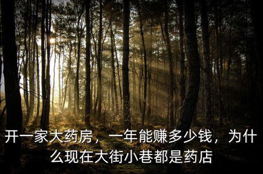 開一家大藥房，一年能賺多少錢，為什么現(xiàn)在大街小巷都是藥店