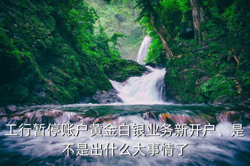 工行暫停賬戶黃金白銀業(yè)務新開戶、是不是出什么大事情了