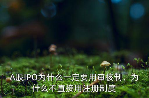 A股IPO為什么一定要用審核制，為什么不直接用注冊(cè)制度