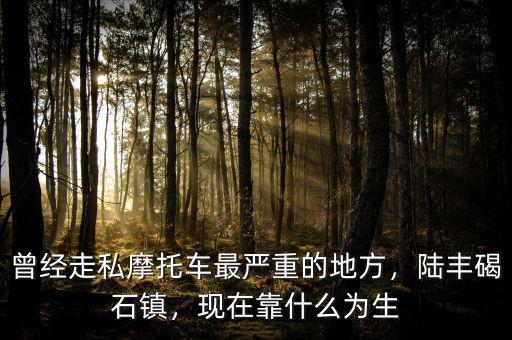 曾經(jīng)走私摩托車最嚴(yán)重的地方，陸豐碣石鎮(zhèn)，現(xiàn)在靠什么為生