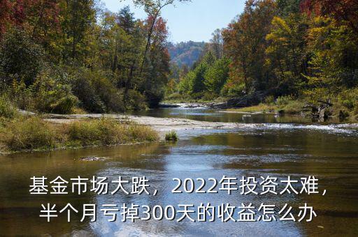 基金市場大跌，2022年投資太難，半個月虧掉300天的收益怎么辦