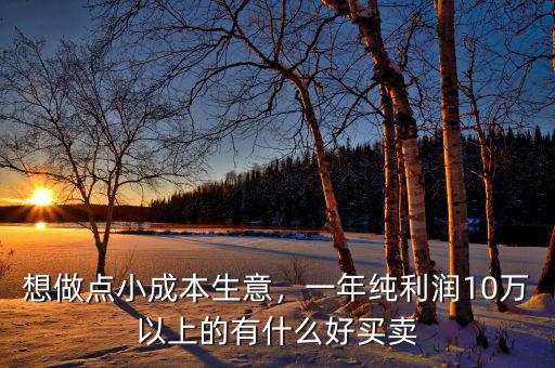 想做點小成本生意，一年純利潤10萬以上的有什么好買賣