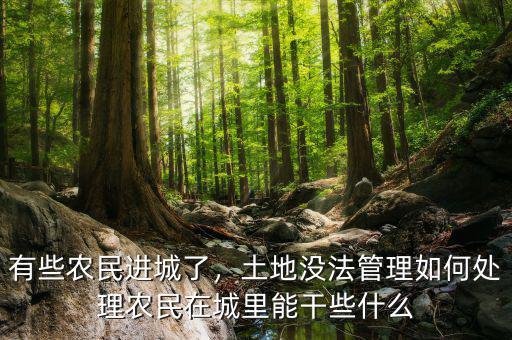 有些農(nóng)民進城了，土地沒法管理如何處理農(nóng)民在城里能干些什么