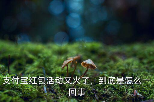 支付寶紅包活動(dòng)又火了，到底是怎么一回事