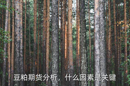 豆粕期貨分析，什么因素是關(guān)鍵
