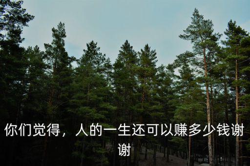 你們覺(jué)得，人的一生還可以賺多少錢謝謝