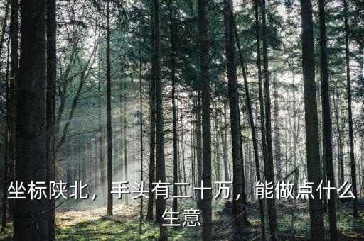坐標(biāo)陜北，手頭有二十萬，能做點(diǎn)什么生意