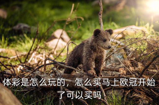 體彩是怎么玩的，怎么買馬上歐冠開始了可以買嗎