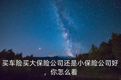 買(mǎi)車(chē)險(xiǎn)買(mǎi)大保險(xiǎn)公司還是小保險(xiǎn)公司好，你怎么看