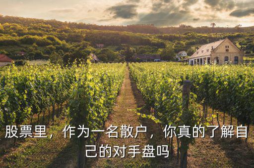股票里，作為一名散戶，你真的了解自己的對(duì)手盤(pán)嗎