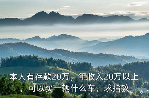 本人有存款20萬(wàn)，年收入20萬(wàn)以上，可以買(mǎi)一輛什么車(chē)，求指教