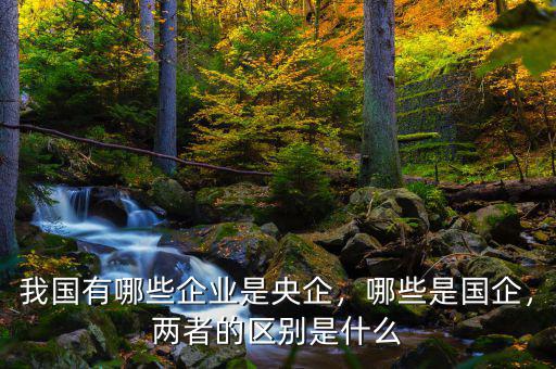 我國有哪些企業(yè)是央企，哪些是國企，兩者的區(qū)別是什么