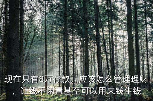 現(xiàn)在只有8萬(wàn)存款，應(yīng)該怎么管理理財(cái)，讓錢不閑置甚至可以用來(lái)錢生錢
