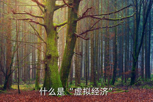 虛擬經濟具體是做什么,互聯(lián)網經濟是虛擬經濟嗎