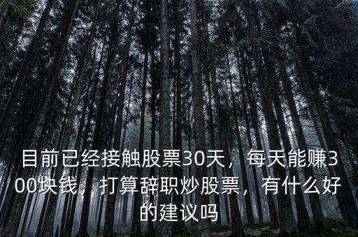 目前已經(jīng)接觸股票30天，每天能賺300塊錢，打算辭職炒股票，有什么好的建議嗎