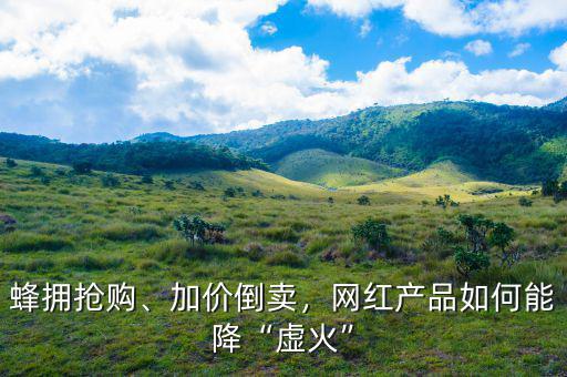 蜂擁搶購、加價倒賣，網(wǎng)紅產(chǎn)品如何能降“虛火”