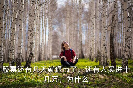 股票還有幾天就退市了，還有人買進十幾萬，為什么