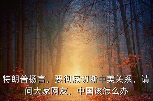 特朗普楊言，要徹底切斷中美關(guān)系，請問大家網(wǎng)友，中國該怎么辦