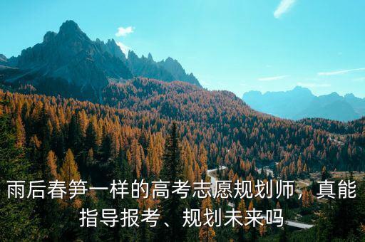 雨后春筍一樣的高考志愿規(guī)劃師，真能指導(dǎo)報(bào)考、規(guī)劃未來(lái)嗎