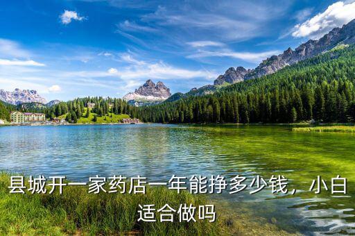 縣城開一家藥店一年能掙多少錢，小白適合做嗎