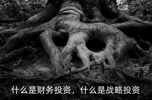 什么是財務(wù)投資，什么是戰(zhàn)略投資