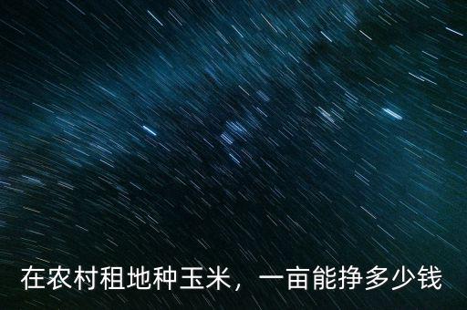在農(nóng)村租地種玉米，一畝能掙多少錢