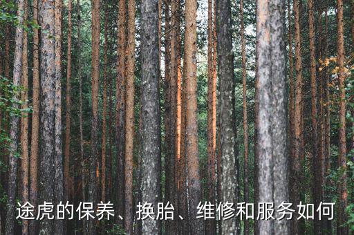 途虎的保養(yǎng)、換胎、維修和服務(wù)如何