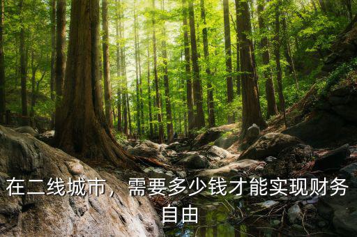 在二線城市，需要多少錢才能實現(xiàn)財務(wù)自由