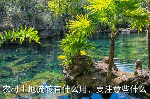 農(nóng)村土地流轉(zhuǎn)有什么用，要注意些什么