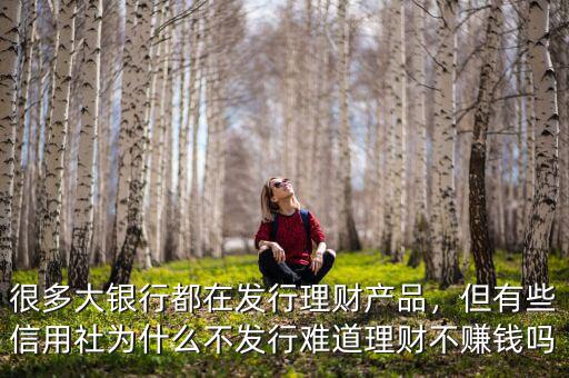 很多大銀行都在發(fā)行理財產(chǎn)品，但有些信用社為什么不發(fā)行難道理財不賺錢嗎