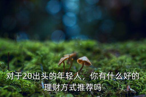 對(duì)于20出頭的年輕人，你有什么好的理財(cái)方式推薦嗎