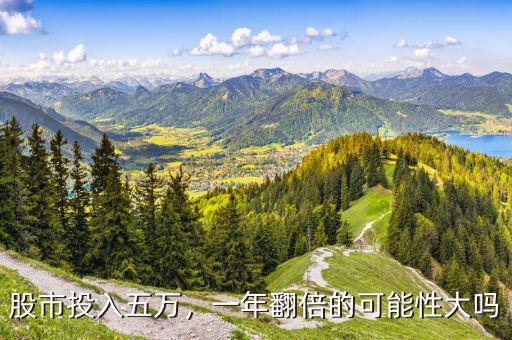 股市投入五萬，一年翻倍的可能性大嗎