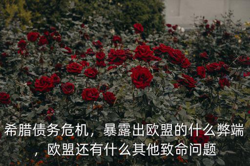 希臘債務(wù)危機(jī)，暴露出歐盟的什么弊端，歐盟還有什么其他致命問題