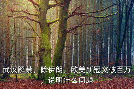 武漢解禁，除伊朗，歐美新冠突破百萬，說明什么問題