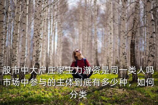 股市中大戶(hù)莊家主力游資是同一類(lèi)人嗎市場(chǎng)中參與的主體到底有多少種，如何分類(lèi)