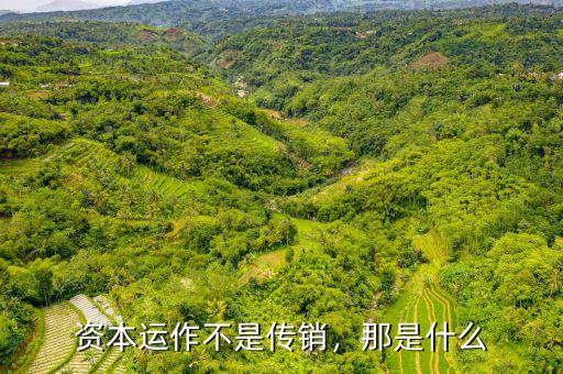 資本運(yùn)作不是傳銷，那是什么