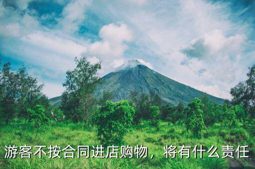 游客不按合同進店購物，將有什么責任