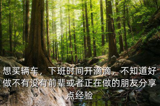 想買輛車，下班時(shí)間開滴滴，不知道好做不有沒有前輩或者正在做的朋友分享點(diǎn)經(jīng)驗(yàn)