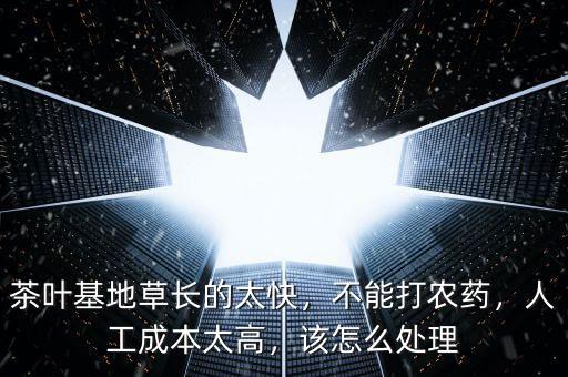 茶葉基地草長的太快，不能打農(nóng)藥，人工成本太高，該怎么處理