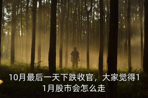 10月最后一天下跌收官，大家覺(jué)得11月股市會(huì)怎么走