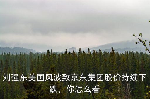 劉強東美國風波致京東集團股價持續(xù)下跌，你怎么看