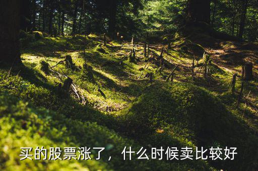買的股票漲了，什么時候賣比較好