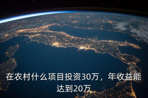 在農村什么項目投資30萬，年收益能達到20萬