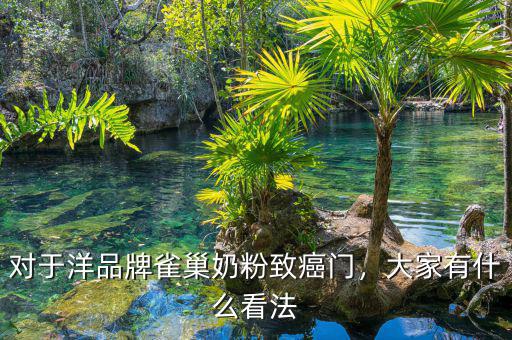 對于洋品牌雀巢奶粉致癌門，大家有什么看法