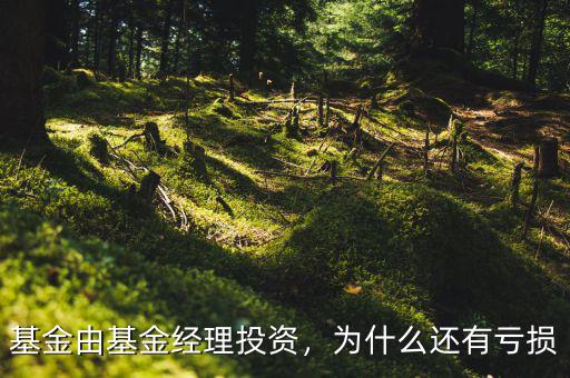 基金由基金經理投資，為什么還有虧損