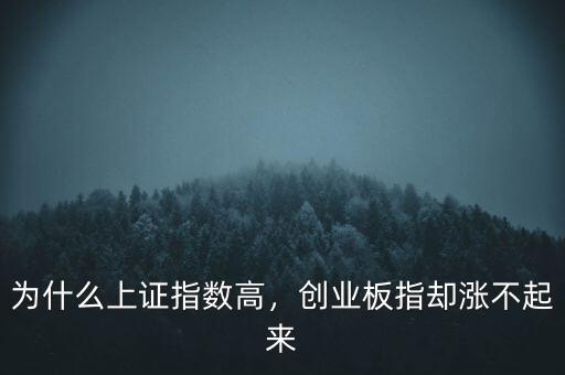 為什么上證指數(shù)高，創(chuàng)業(yè)板指卻漲不起來